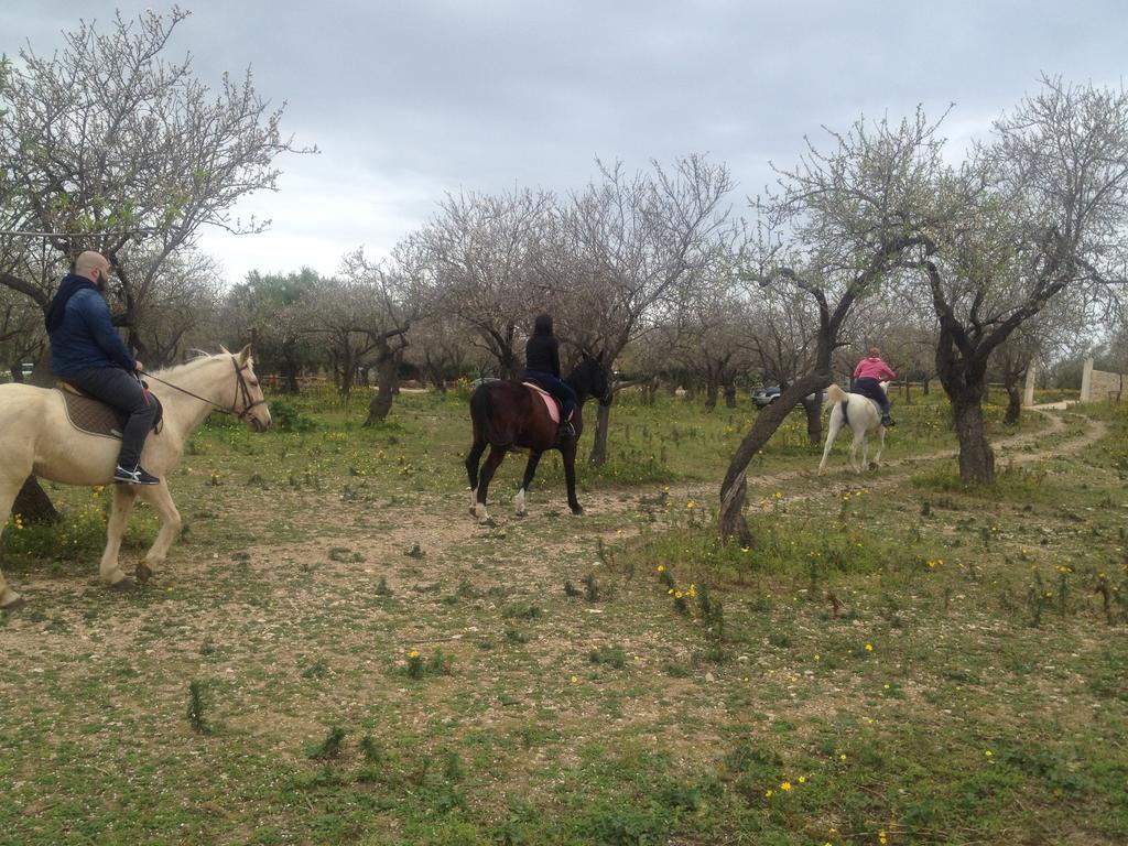 Agriturismo Vita e Natura Villa Noto Exterior foto